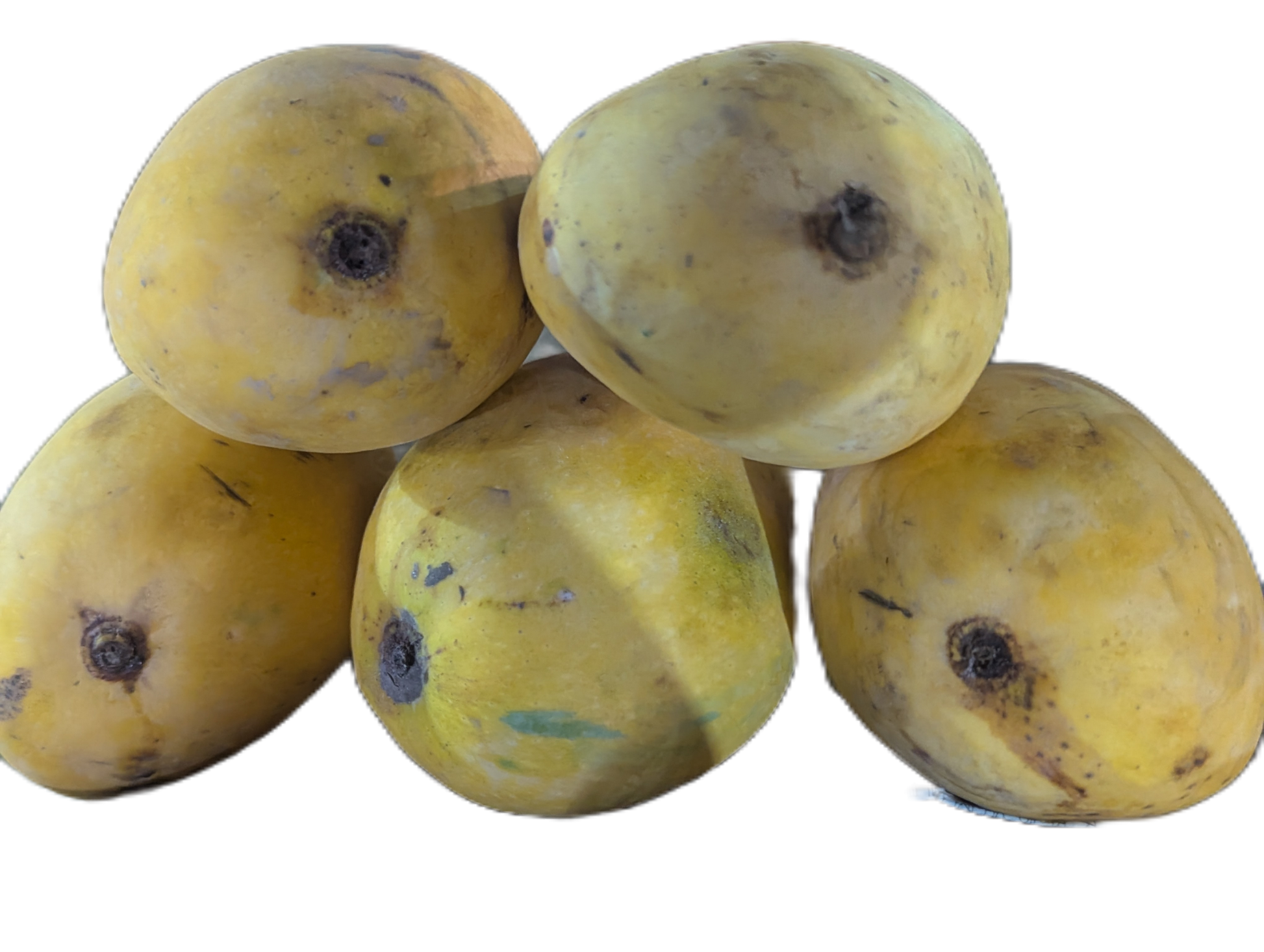 Chaunsa Mango's Box of 8kg